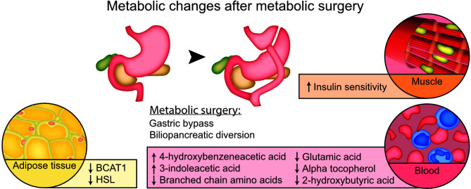 Graphical Abstract