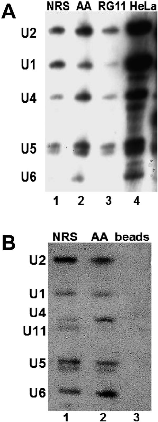 FIG. 4.