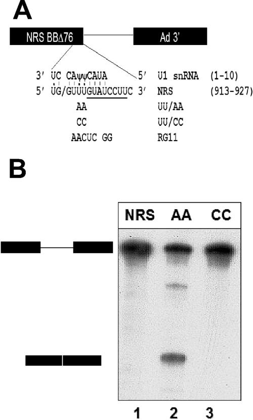 FIG. 1.