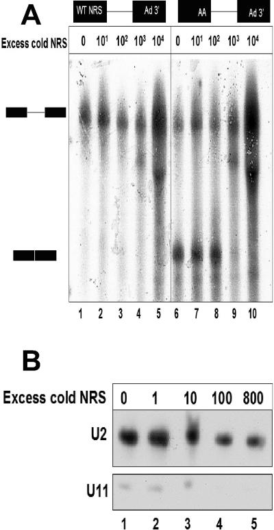 FIG. 5.