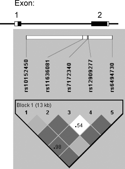 Figure 2: