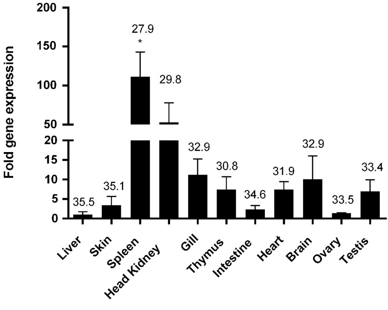 Figure 5