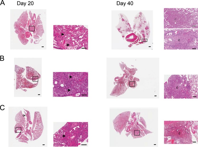 FIG 3