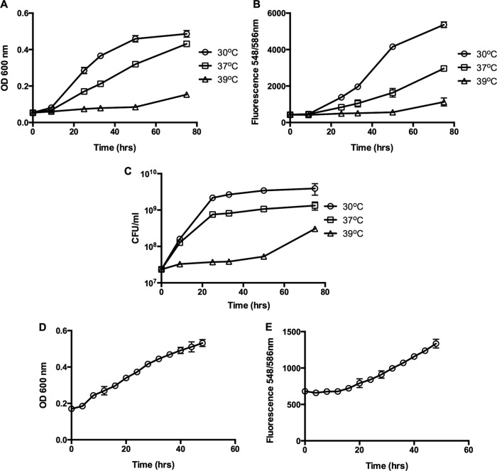 FIG 2