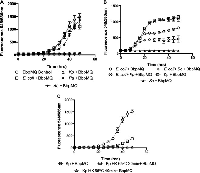 FIG 6