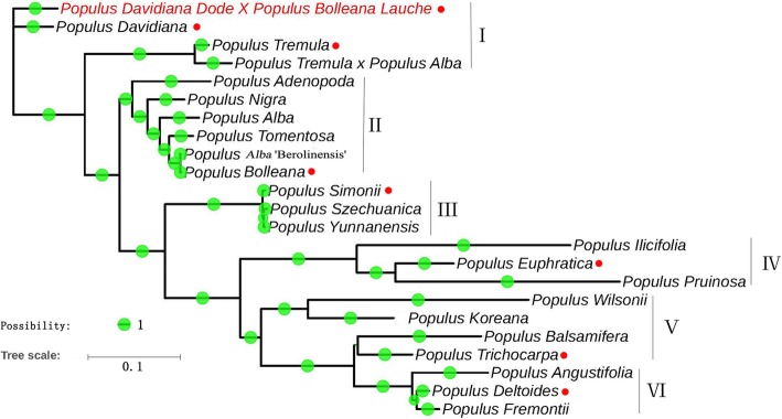 Fig. 5