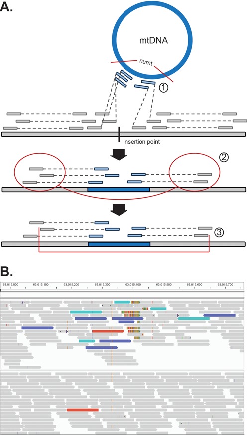 Figure 1.