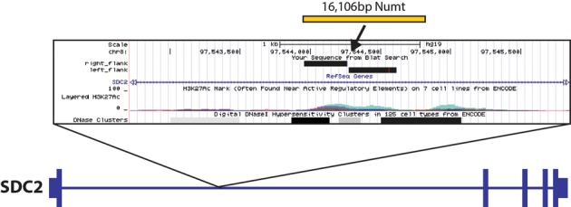 Figure 5.