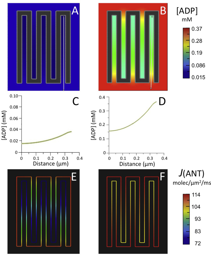 Fig. 4