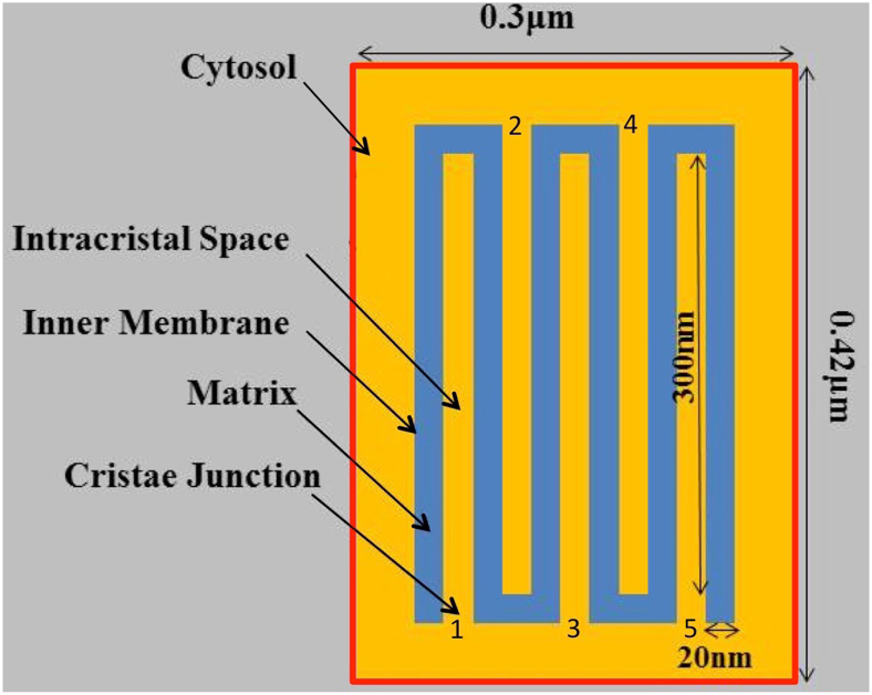 Fig. 3