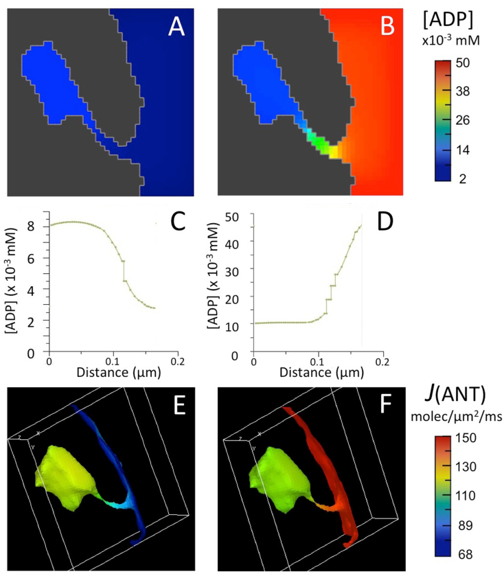 Fig. 1