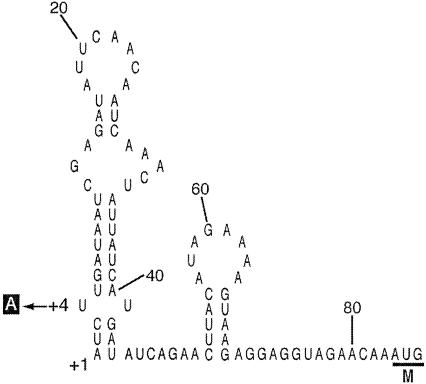 FIG. 4.