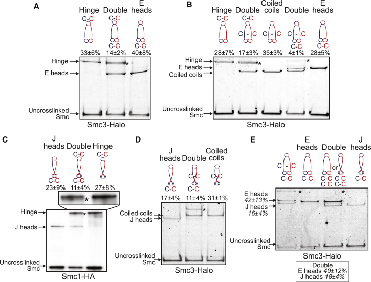 Figure 3