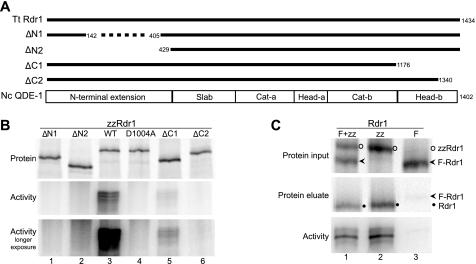 FIGURE 1.