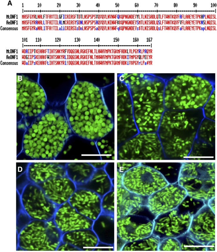 Figure 6.