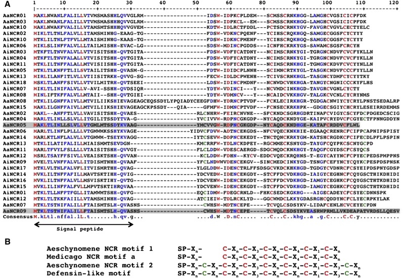 Figure 3.