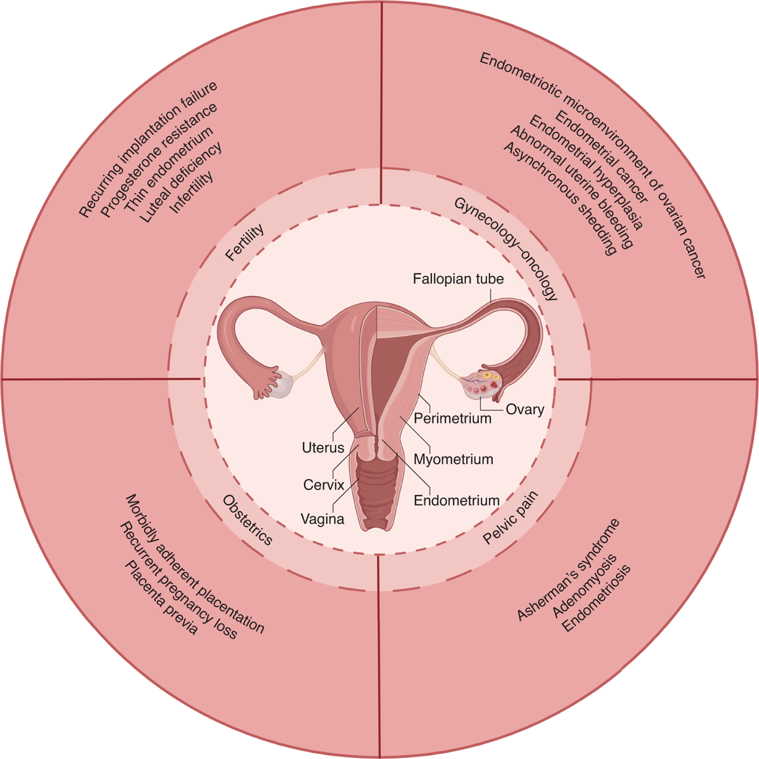 Figure 1: