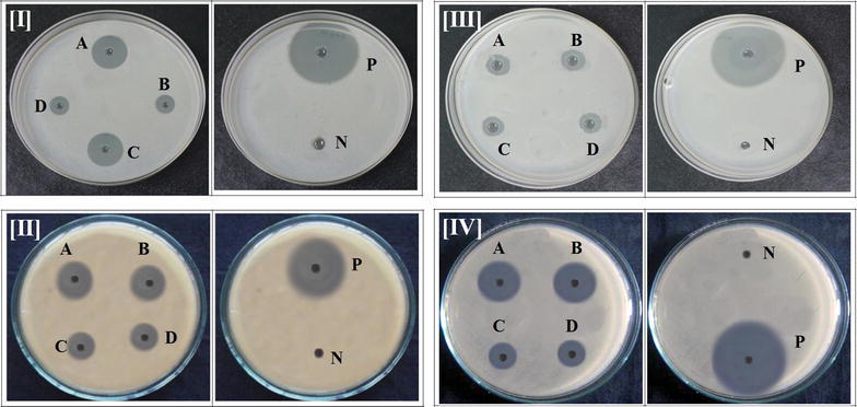 Fig. 12