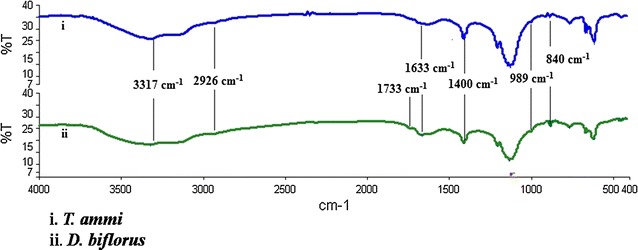 Fig. 6