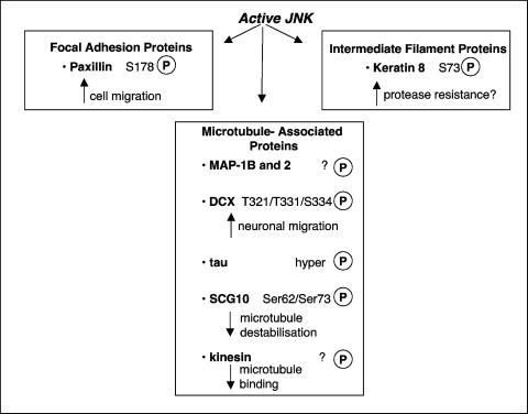 FIG. 12.