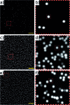 Fig. 10