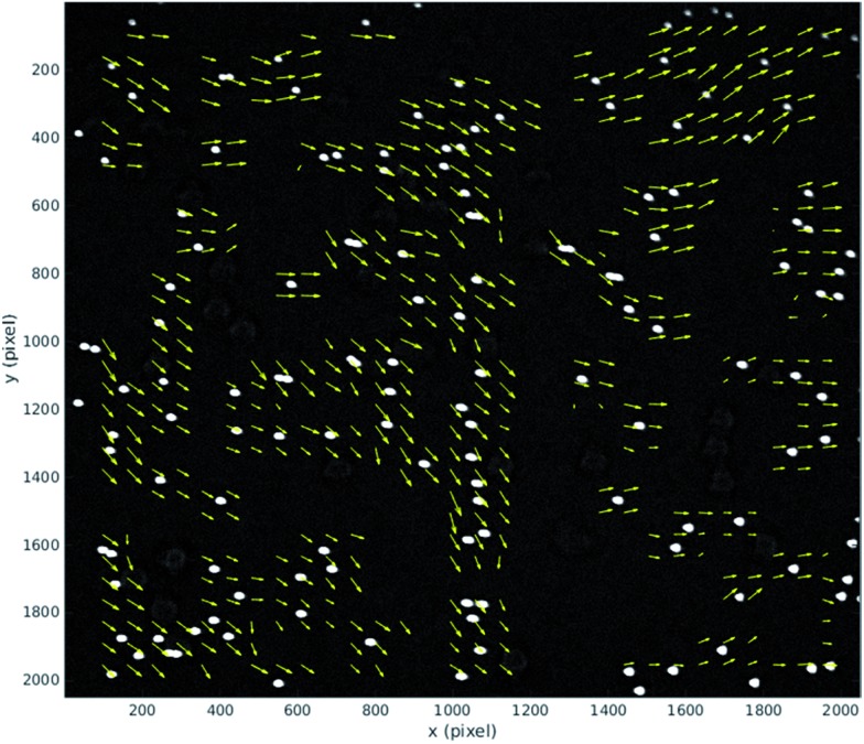 Fig. 7