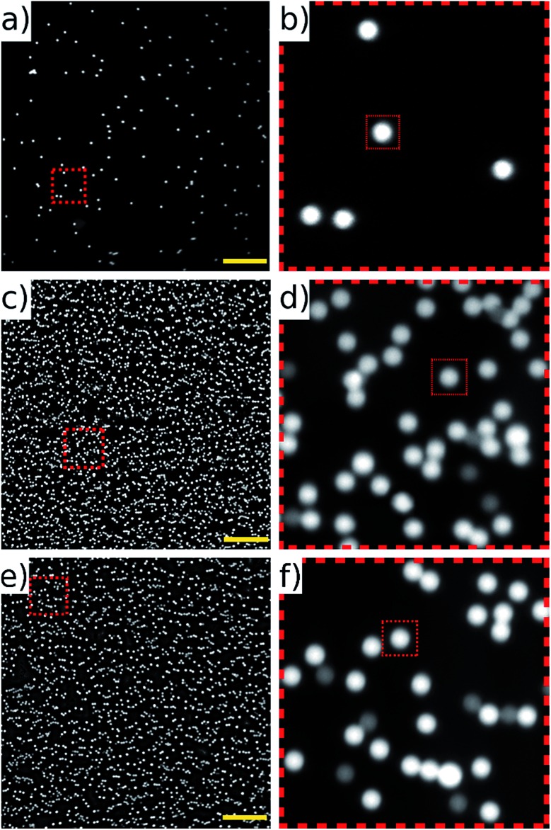 Fig. 10