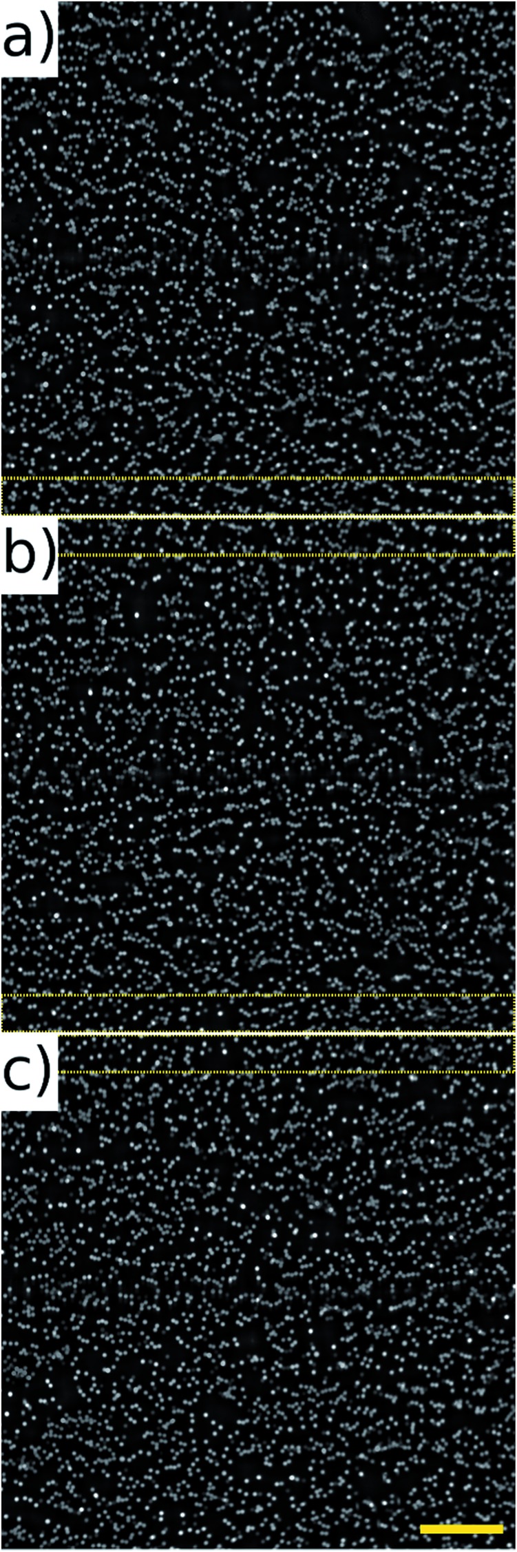 Fig. 11