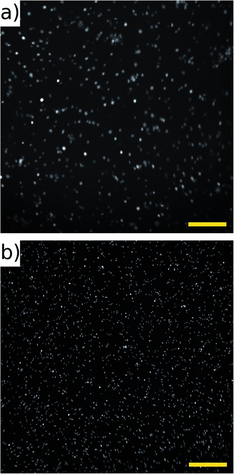 Fig. 12