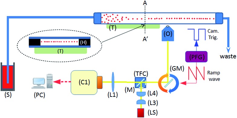 Fig. 1