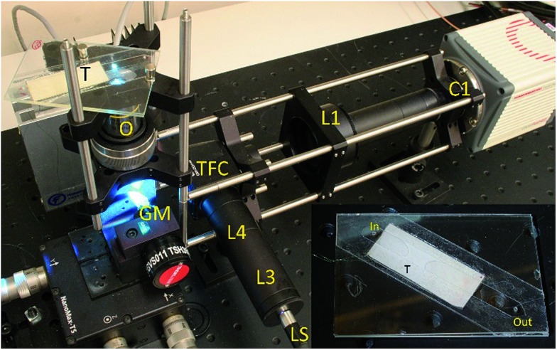 Fig. 3