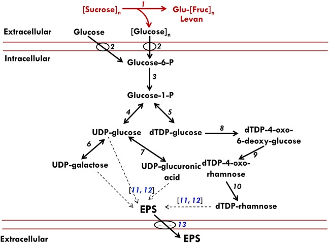 FIG 6