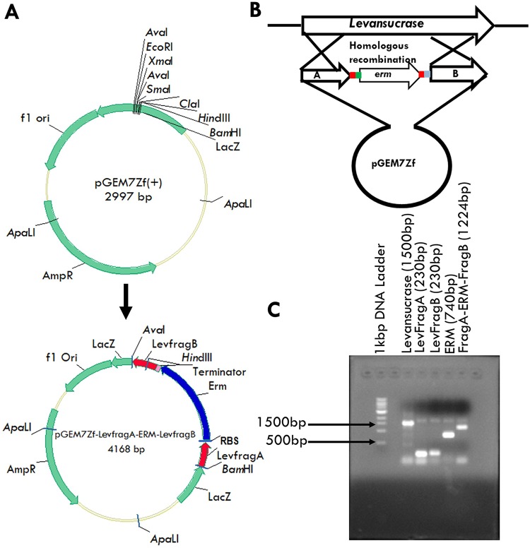 FIG 1