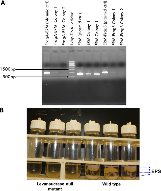 FIG 2