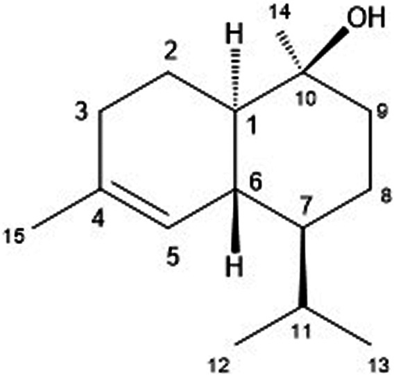 FIGURE 1