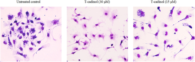 FIGURE 2