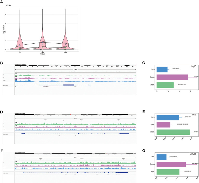 Figure 4