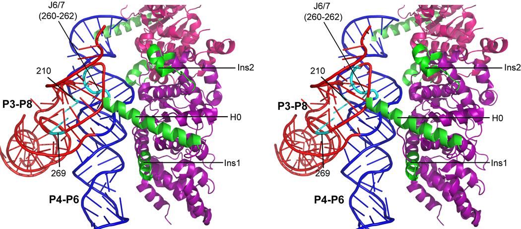 Fig. 11