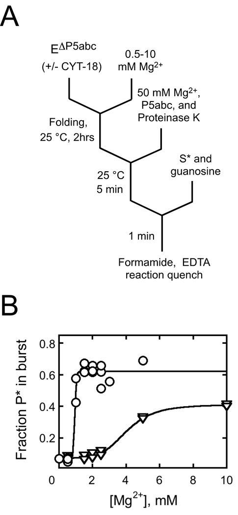 Fig. 9