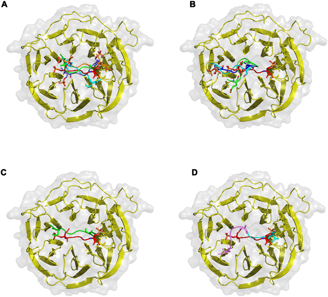 Figure 7