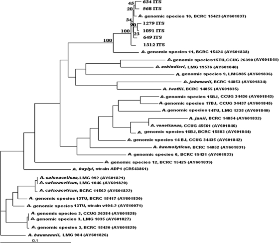 FIG. 1.