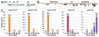 Figure 2.