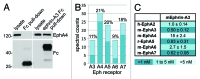 Figure 5.