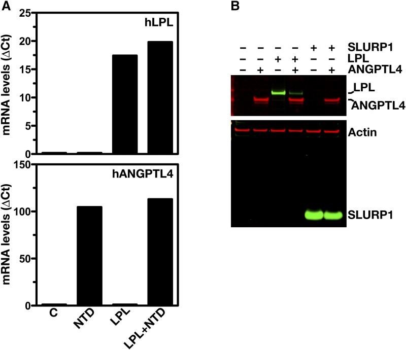 Fig. 4.