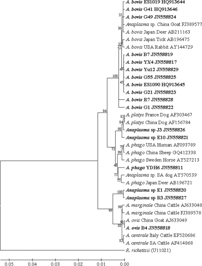 Fig 3