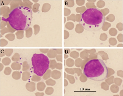 Fig 2