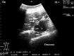 Fig. 9.