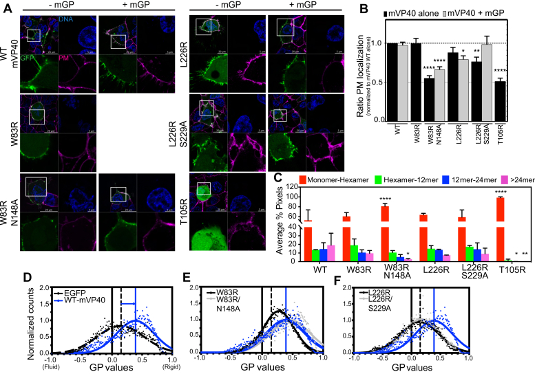 Figure 2