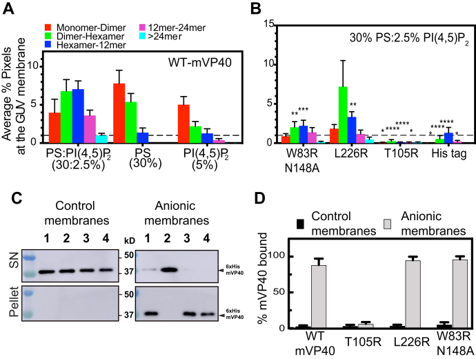 Figure 4