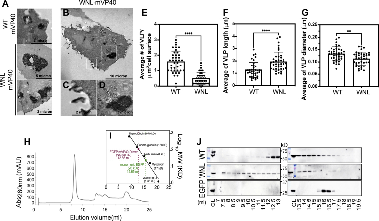 Figure 7